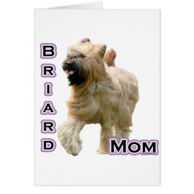 Briard Moeder 4 (Voorkant)