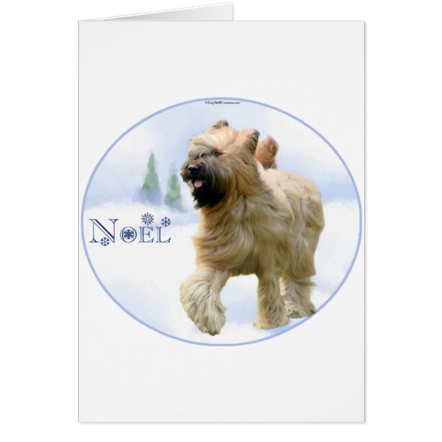 Briard Noel (Voorkant)