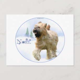 Briard Noel Feestdagenkaart