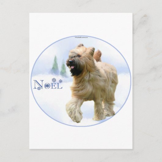 Briard Noel Feestdagenkaart (Voorkant)