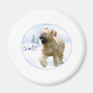Briard Noel Magneet