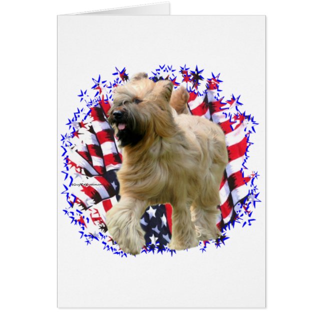Briard Patriot (Voorkant)