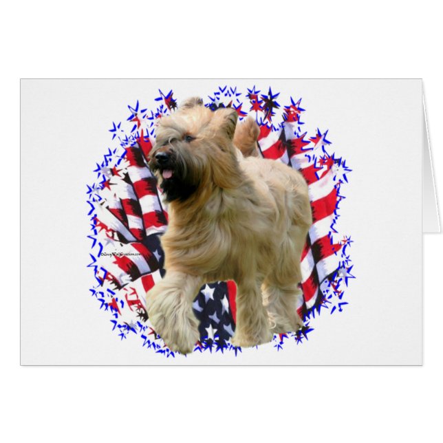 Briard Patriot (Voorkant Horizontaal)
