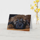 briard puppy kaart (Gele Bloem)