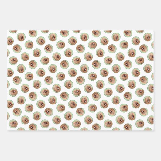 Briard Schilderen Tawny Black Overlay Schattigee D Inpakpapier Vel (Voorkant 2)