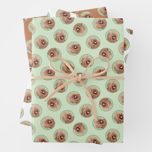 Briard Schilderen Tawny Black Overlay Schattigee D Inpakpapier Vel (In situ)