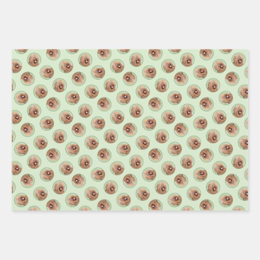 Briard Schilderen Tawny Black Overlay Schattigee D Inpakpapier Vel (Voorkant)