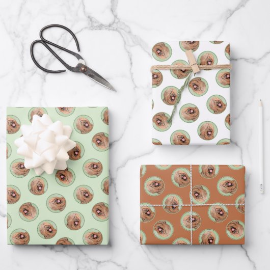 Briard Schilderen Tawny Black Overlay Schattigee D Inpakpapier Vel (Voorkant)