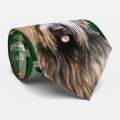 Briard Shepherd Dog en Green Plaid Kerstmis Stropdas (Opgerold)