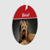 Briard Shepherd Hond Vakantiefoto Kerst Ornament (voorkant)