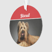Briard Shepherd Hond Vakantiefoto Kerst Ornament (voorkant)