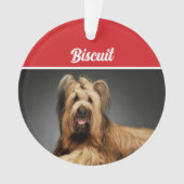 Briard Shepherd Hond Vakantiefoto Kerst Ornament (voorkant)
