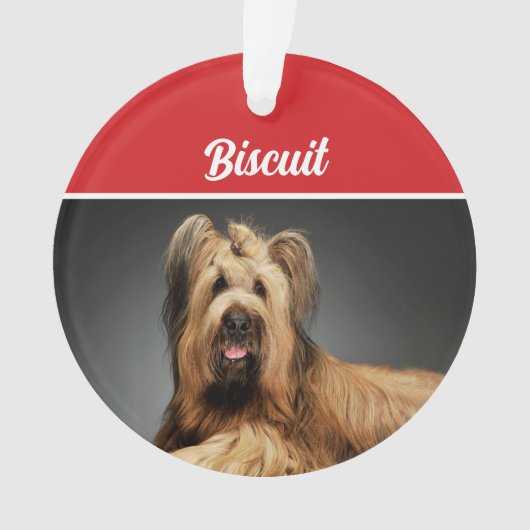 Briard Shepherd Hond Vakantiefoto Kerst Ornament (voorkant)