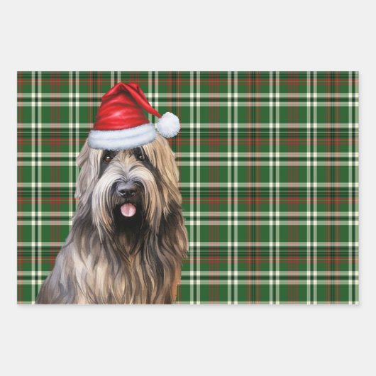 Briard Shepherd Kersthond Green Plaid Inpakpapier Vel (Voorkant 3)