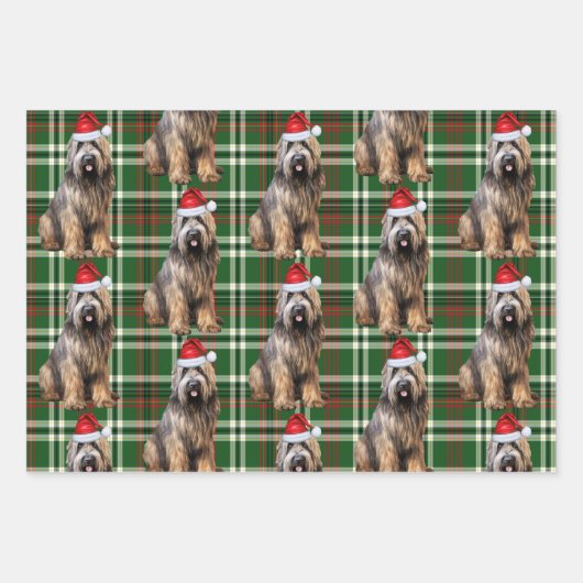 Briard Shepherd Kersthond Green Plaid Inpakpapier Vel (Voorkant 2)