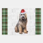 Briard Shepherd Kersthond Green Plaid Inpakpapier Vel (Voorkant)
