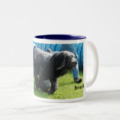 Briard Tasse Tweekleurige Koffiemok (Voorkant rechts)