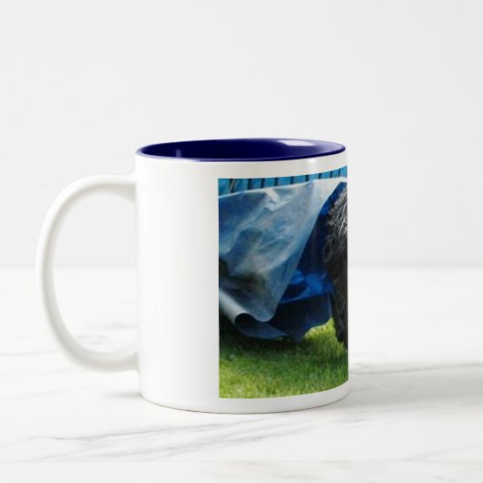 Briard Tasse Tweekleurige Koffiemok (Links)