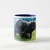 Briard Tasse Tweekleurige Koffiemok (Center)