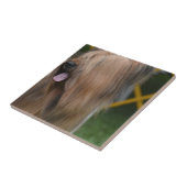 Briard Tegeltje (Zijkant)