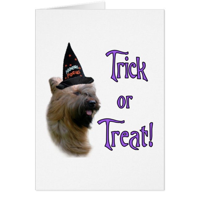 Briard Trick (Voorkant)