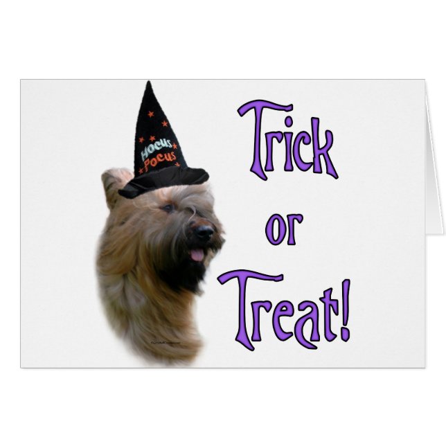 Briard Trick (Voorkant Horizontaal)