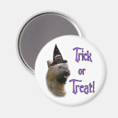 Briard Trick Magneet (Voorkant / Achterkant)