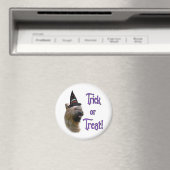 Briard Trick Magneet (Insitu (Vaatwasser))