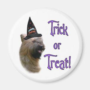 Briard Trick Magneet