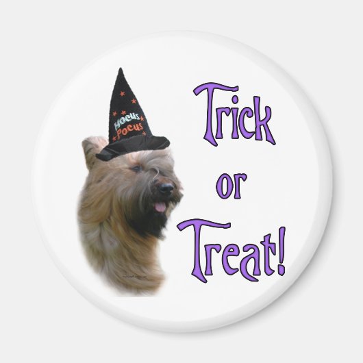 Briard Trick Magneet (Voorkant)