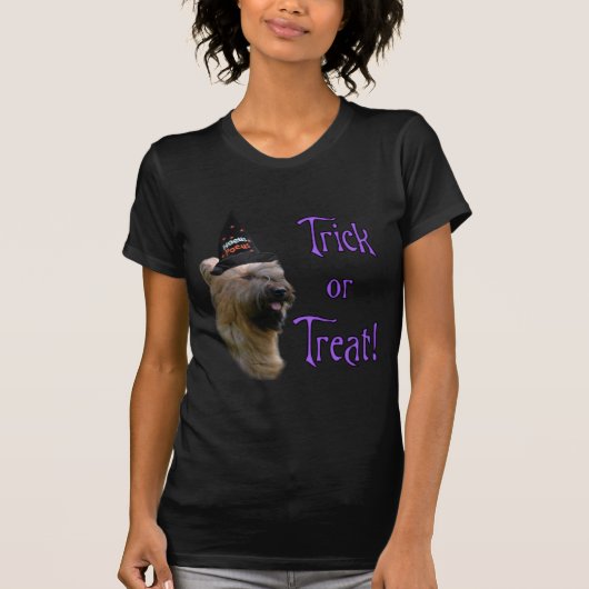 Briard Trick T-shirt (Voorkant)