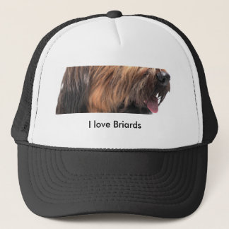 Briard Trucker Pet