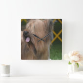 Briard Vierkante Klok (Huis)
