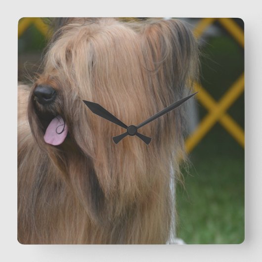 Briard Vierkante Klok (Voorkant)