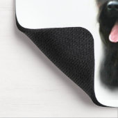 Briard (zwart) Geschiedenis Ontwerp Muismat (Hoek)