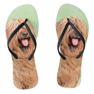 Briardschildering - Kute Original Dog Art Teenslippers