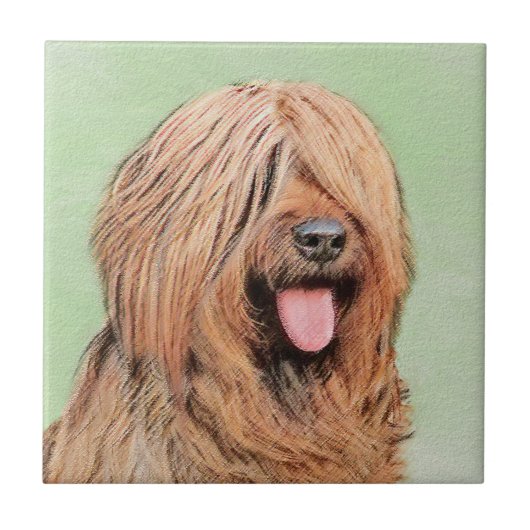 Briardschildering - Kute Original Dog Art Tegeltje (Voorkant)