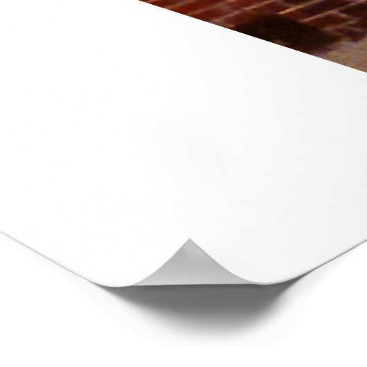 Brick Beauty Poster (Hoek)