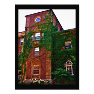 Brick Building Foto Afdruk