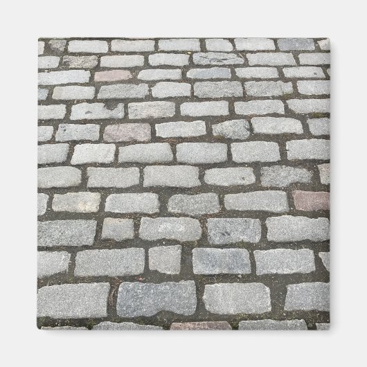 Brick Cobblestone Street Pathway Natuur Foto Magneet (Voorkant)