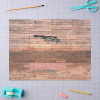 Brick in the Wall  Tissuepapier