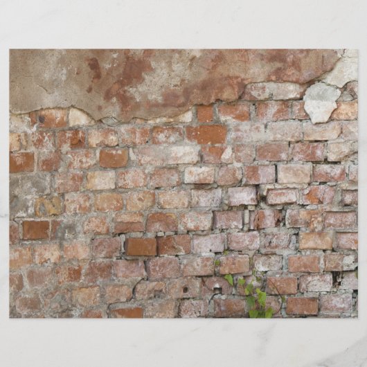 Brick-muur Flyer (Voorkant)