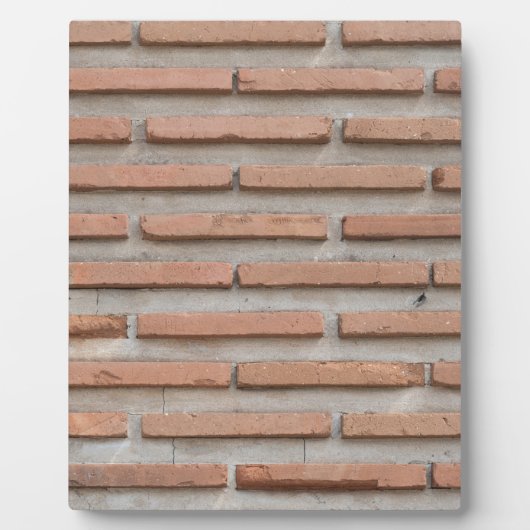 Brick-muur Fotoplaat (Voorkant)