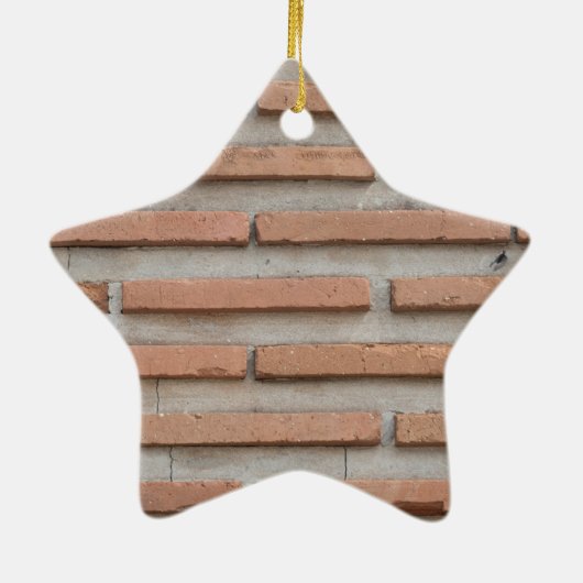 Brick-muur Keramisch Ornament (Achterkant)