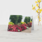 Brick Path Verjaardag Kaart (Gele Bloem)