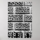 Brick Poster (Voorkant)