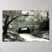 Brick Underpass en pad in Central Park Poster (Voorkant)