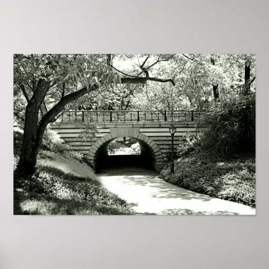 Brick Underpass en pad in Central Park Poster (Voorkant)