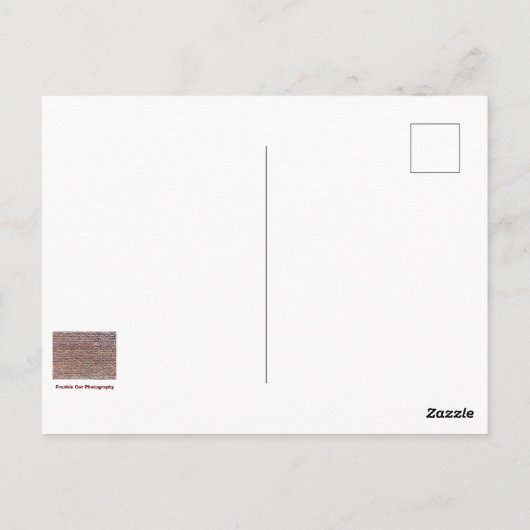 Brick Wall Briefkaart (Achterkant)