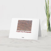 Brick Wall Kaart (Achterkant)